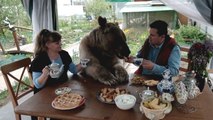 Cette famille vit tous les jours depuis 23 ans avec un ours