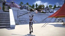 Final Fantasy XIV  Huzzah Emote + Panda Cub