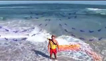 O perigo fatal que está escondido nas praias este Verão! Todos devem ter conhecimento!
