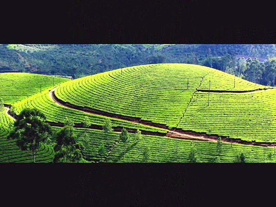 future vacations Review