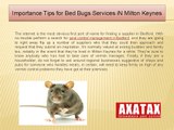 Importance Tips for Bed Bugs Services in Milton Keynes