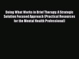 Read Doing What Works in Brief Therapy: A Strategic Solution Focused Approach (Practical Resources