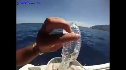 İlk bakışta su dolu poşet gibi... Aslında bu.