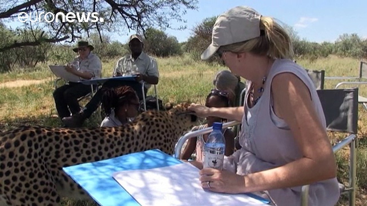 Kunstsafari: mit skizzenbuch und pinsel in den afrikanischen busch