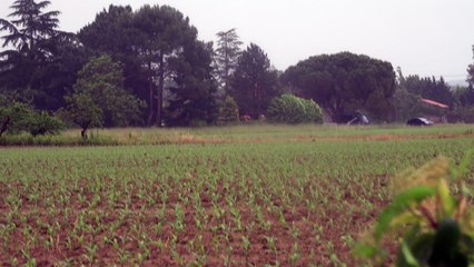 L'Ashram n'est plus ainsi que son superbe jardin - la chouette n'est pas contente  !! APPEL AU RASSEMBLEMENT ZAD AGEN jeudi 2 juin 2016