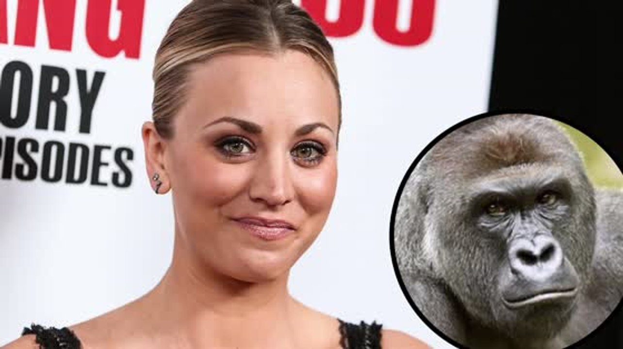 Kaley Cuoco unterstützt den #RipHarambe Trend