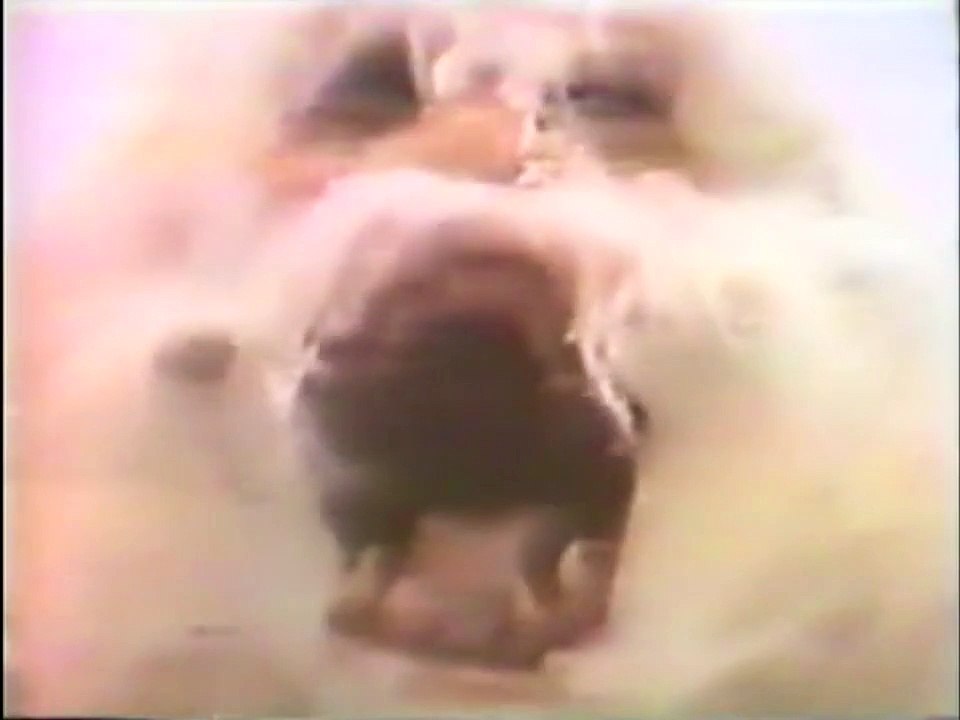 Original Empire Strikes Back Toy Commercial - Wampa and Tauntaun