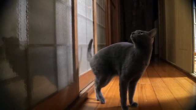 Ils essaient de dormir, mais ce qu’ils vont entendre... Je n’arrive pas à croire que CECI est arrivé.