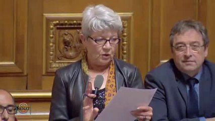 QAG de Dominique Gillot du 31 mai 2016