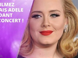 Adele s'énerve en plein concert contre une fan !
