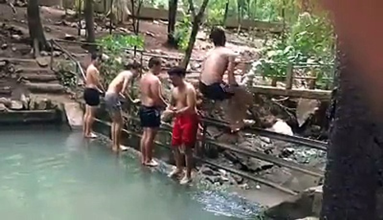 Diving is cool