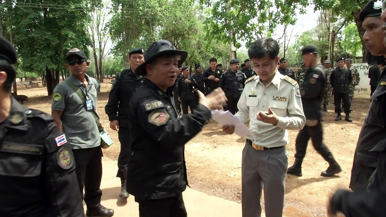 Tierliebe oder Profitgier? Kampf um Tiger in Thailand