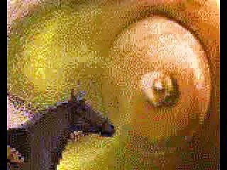 السيره النبويه 25-تهديدات قريش