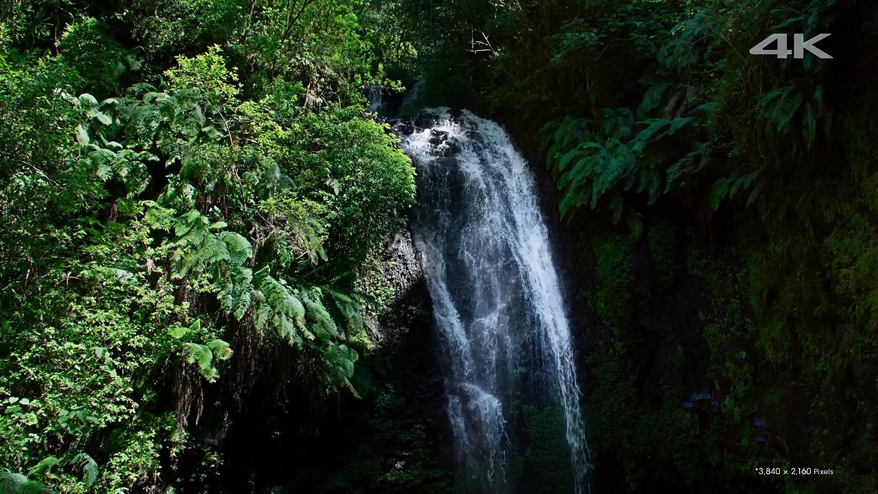 Sony 4K Demo Another World