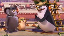 Pingwiny z Madagaskaru Królem być PL (Cały odcinek) HD