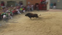 Wild Bull Charges into Crowd as Bullfighting Festival Kicks Off in Spain