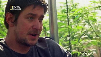American Weed, Episode 7 : Le jour du scrutin (FR)