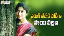 Sai Pallavi Likely to Team up with Varun Tej  - Filmyfocus.com
