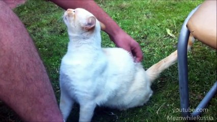 Don t Stop Scratching Me