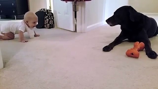 Fanno un filmato a loro Figlia che muove i suoi Primi Passi, ma non si aspettavano un finale così Dolce !!