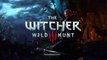 The Witcher 3: Wild Hunt (New Game Plus) Introduction to Kaer Morhen (1)