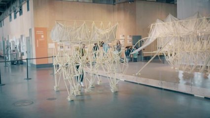 Strandbeests: Giant Sculptures That Eat Wind Descend on San Francisco