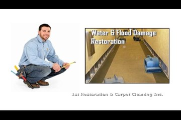 Best Carpet Cleaning Services in Pembroke Pines