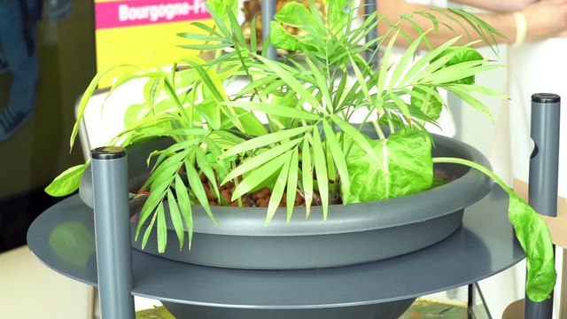 Walk - Symbium, un jardin aquaponique d'intérieur par Urbanleaf