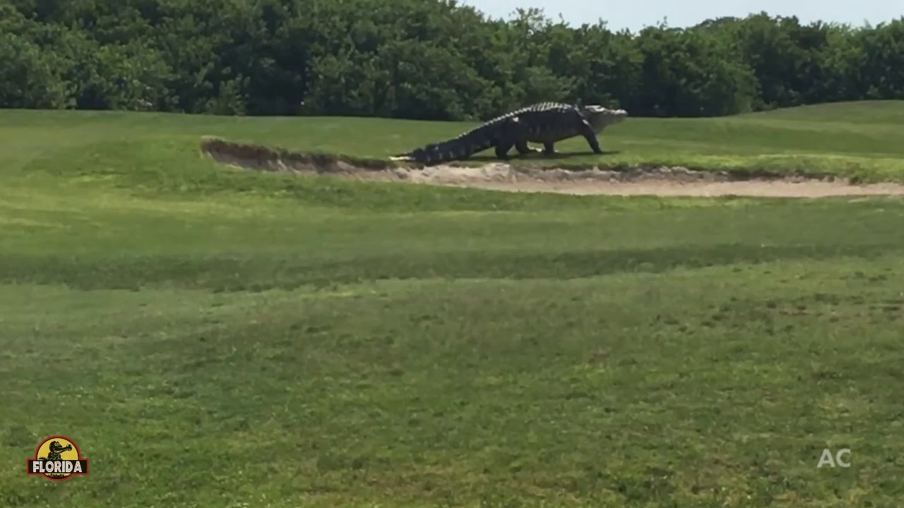 WELCOME TO JURASSIC FLORIDA