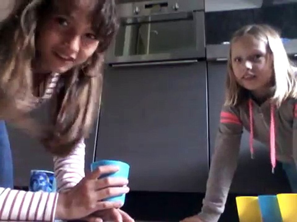 Beer pong  challenge