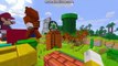 Mash Up Pack Minecraft Wii U Edition-Super Mario