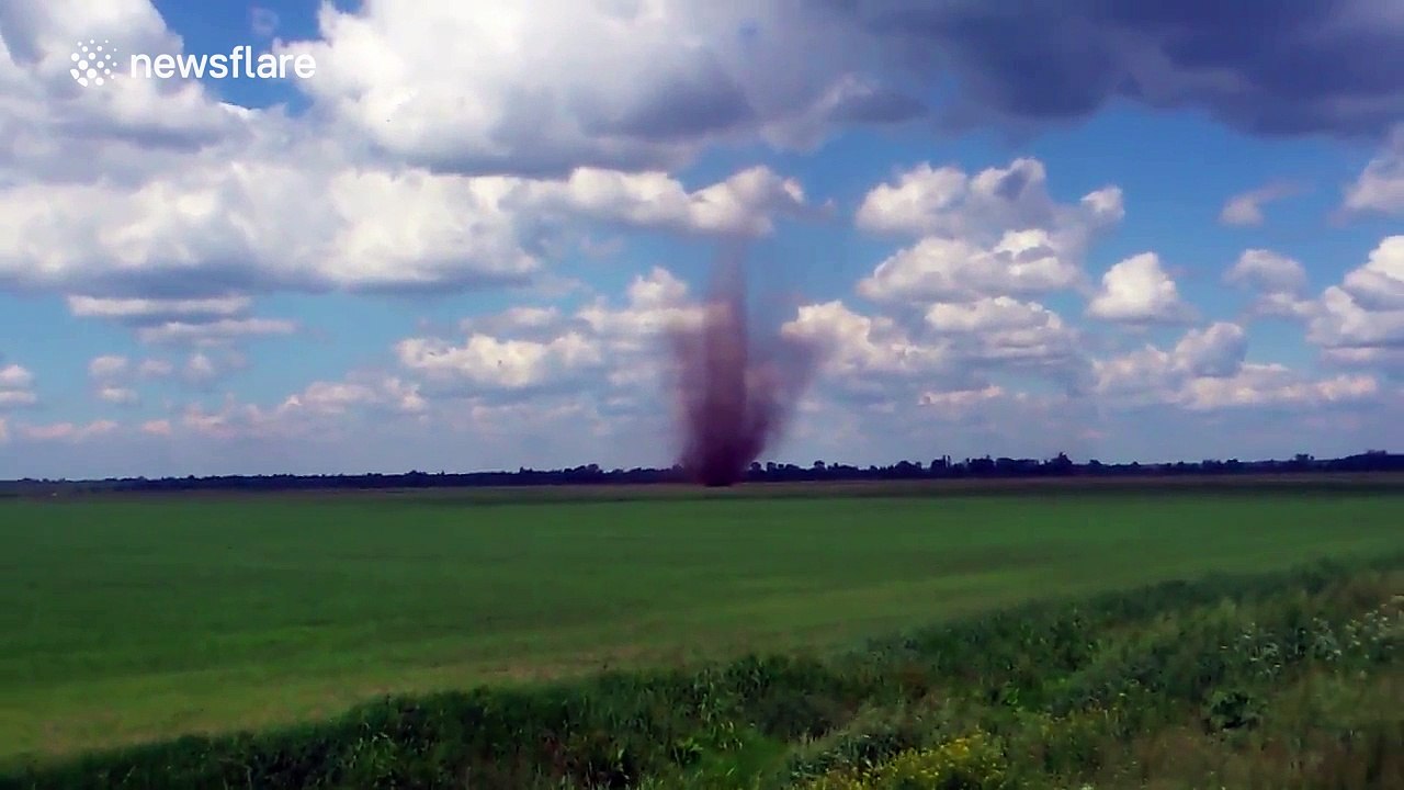 Amazing dust devil whirls through a wheat field
