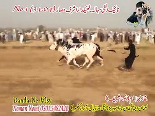 T.A.M.A.S.H.A 1st Number at Noona Sharif Naik Zulfi Sihala ,Thekedar Ashraf