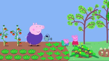 YTP: Peppa turns lunch into vegtables