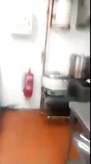 A Bunch Of Rats Run Up A Hole In A Kitchen Ceiling After The Light Gets Turned On