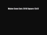 Read Books Maine Coon Cats 2016 Square 12x12 Ebook PDF