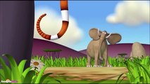 Gazoon | Cartoons for Children | Sea Serpent & More Funny Cartoons by HooplaKidz TV