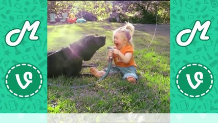 New Fails Vines Compilation Funny Vines of All Time
