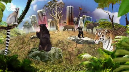 India: el manglar de Mumbai en peligro. | Global 3000