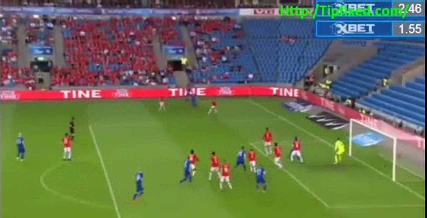 Sverrir Ingi Ingason Goal Replay HD - Norway 1-1 Iceland 01.06.2016