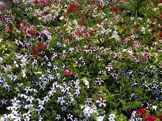 duydum ki,hüseyin balaban - balabancom