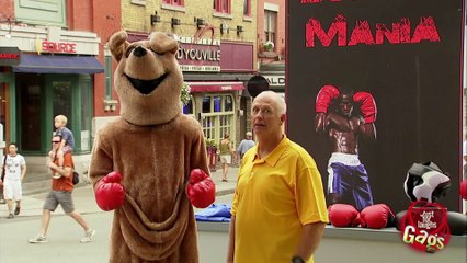 Angry Fighting Kangaroo, Part 2 (2)