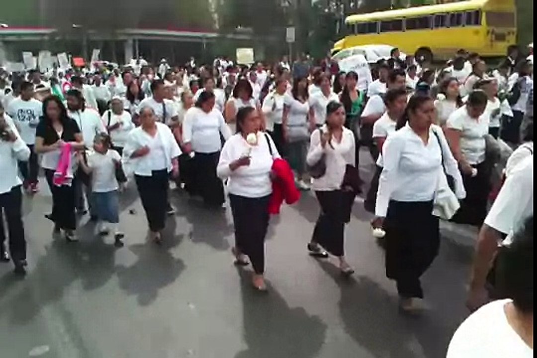Marcha NO ALA REFORMA DEL ART. 24 XALAPA VER.