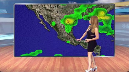 Laura Elena Sada 16 Mayo 2016 Sinaloa T