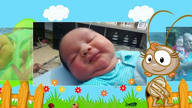 Retrospectiva galinha pintadinha Arthur Miguel ( natty produções digitais )