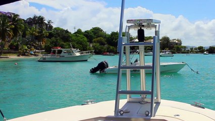LilliPad Diving Boards