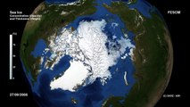 FESOM Arctic Ocean sea ice concentration and thickness 2005-2014