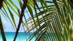 VIDEO ANGLAIS #22 www.VoyagesAilesDor.com Rabais Vacances Cancun