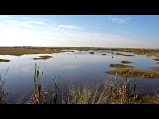 VISIT FLORIDA Everglades Adventures