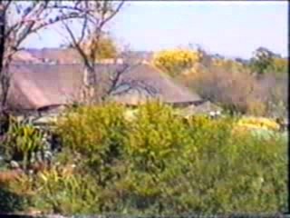 Expedición Delta del Okawango. Parte 2. Agosto 1997